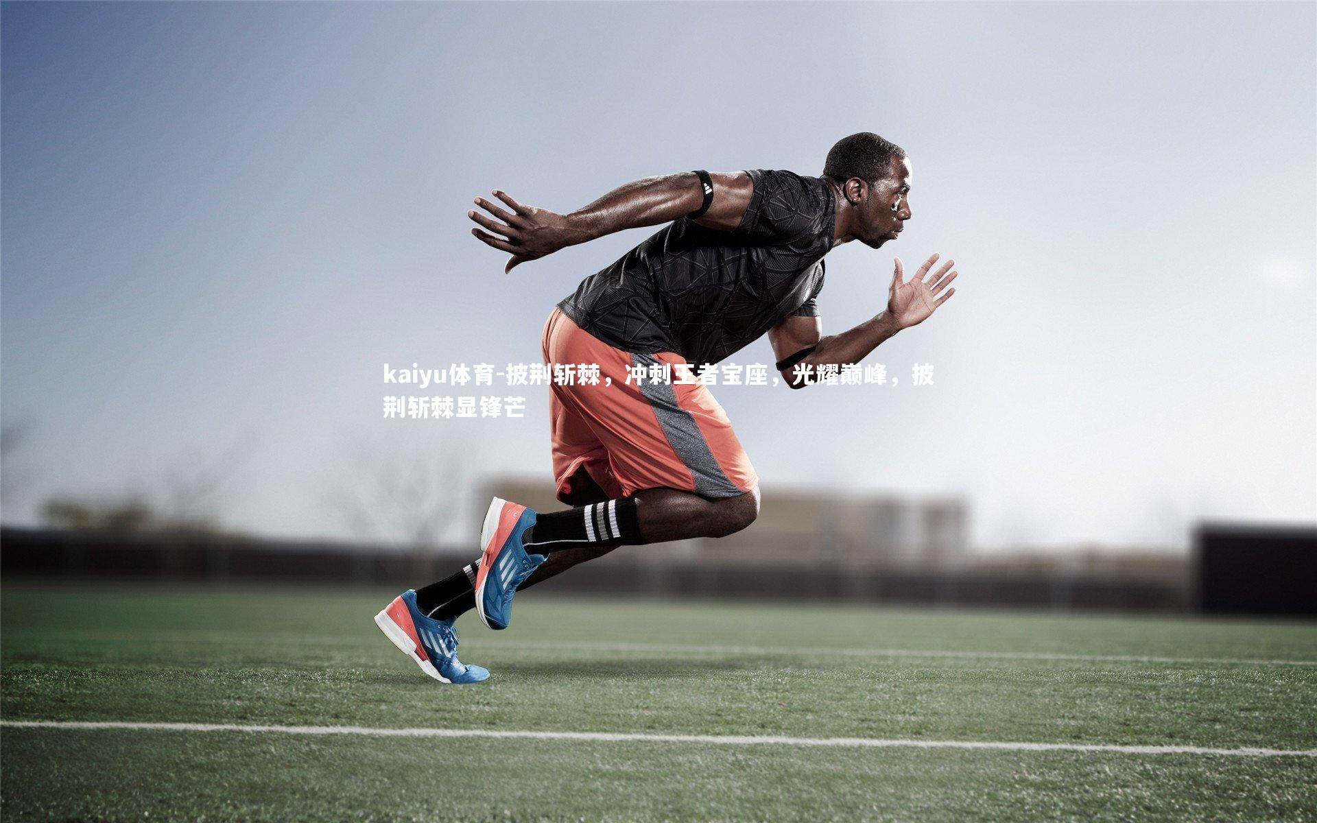 披荆斩棘，冲刺王者宝座，光耀巅峰，披荆斩棘显锋芒